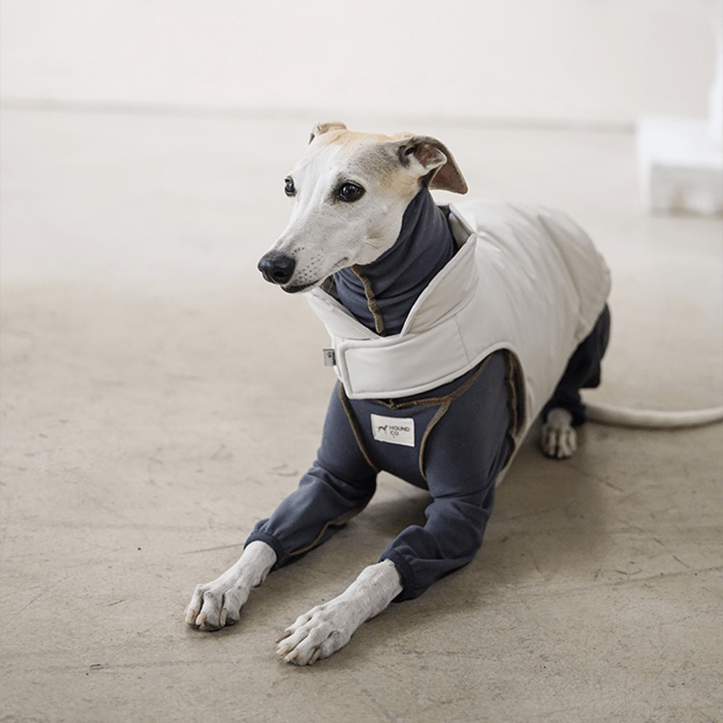 Dog Padding Vest Cotton Jacket Waterproof Outdoor Wear Italian Greyhound Clothes - PIKAPIKA
