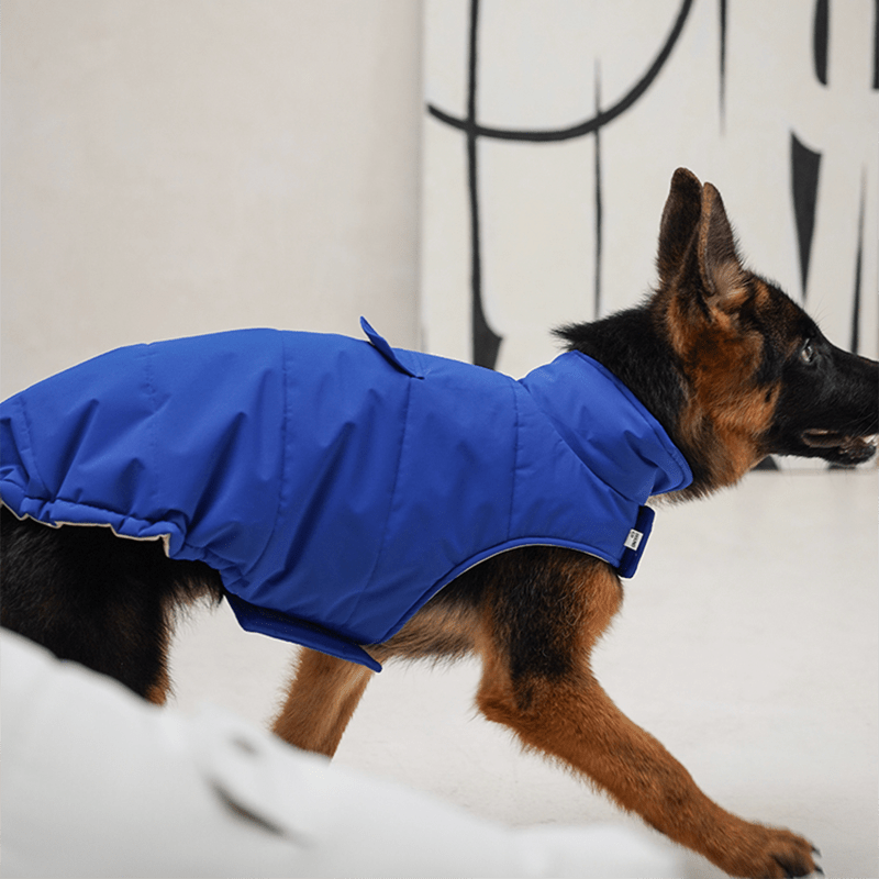 Dog Padding Vest Cotton Jacket Waterproof Outdoor Wear Italian Greyhound Clothes - PIKAPIKA