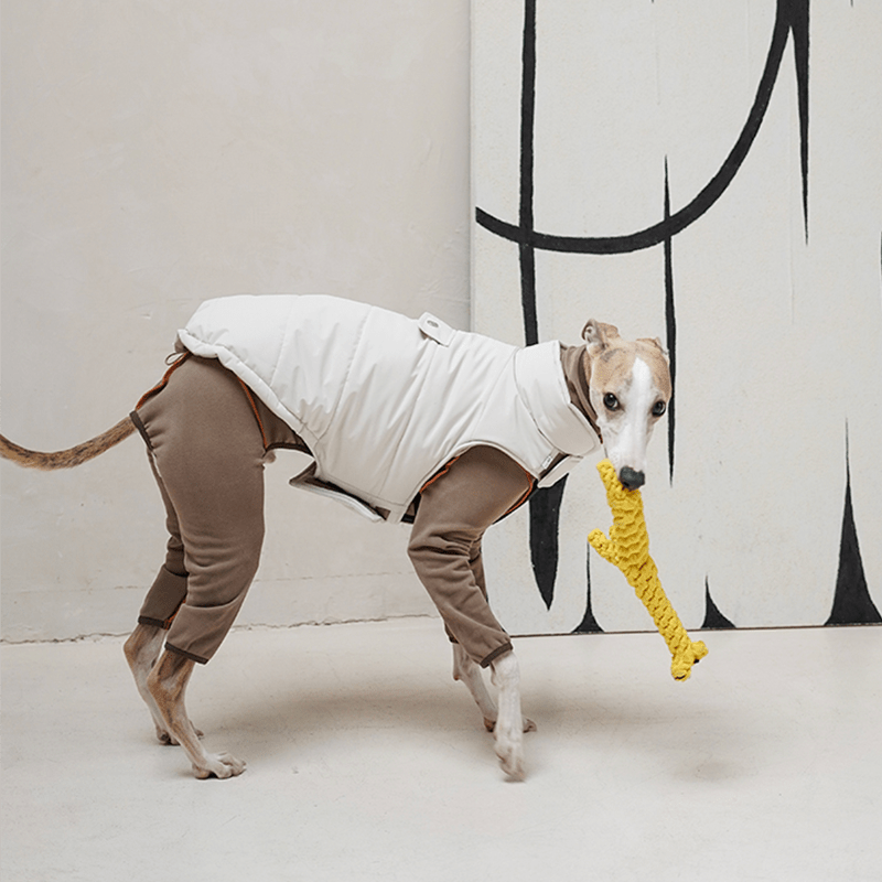 Dog Padding Vest Cotton Jacket Waterproof Outdoor Wear Italian Greyhound Clothes - PIKAPIKA