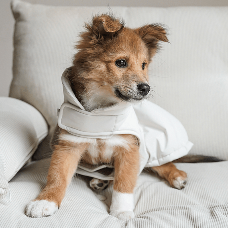 Dog Padding Vest Cotton Jacket Waterproof Outdoor Wear Italian Greyhound Clothes - PIKAPIKA