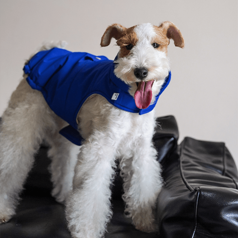 Dog Padding Vest Cotton Jacket Waterproof Outdoor Wear Italian Greyhound Clothes - PIKAPIKA