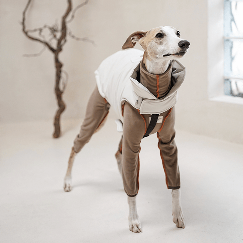 Dog Padding Vest Cotton Jacket Waterproof Outdoor Wear Italian Greyhound Clothes - PIKAPIKA