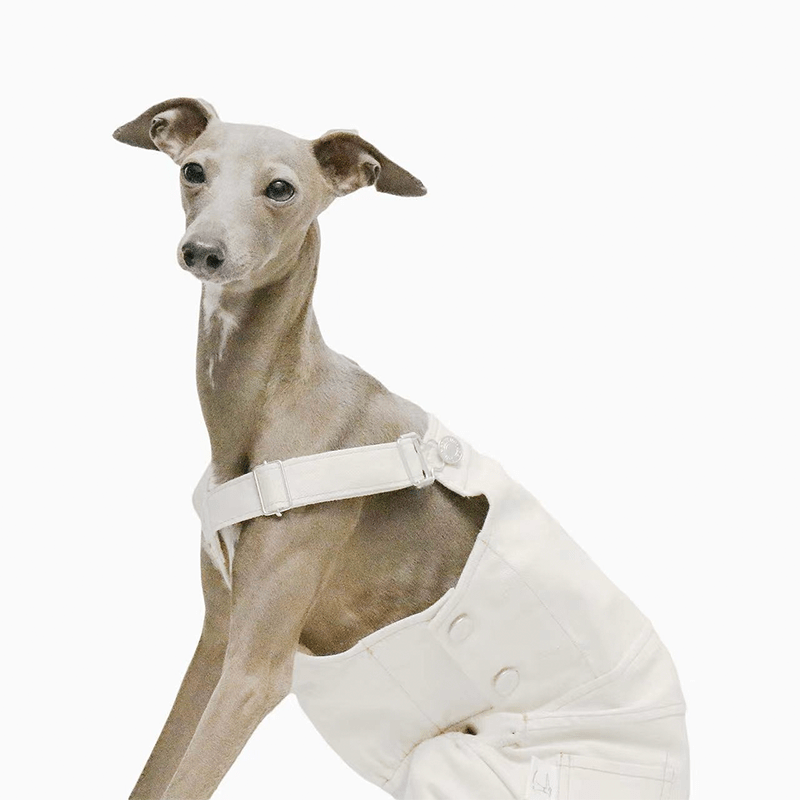 Dog Pants Pinafore Denim Cotton Clothes Easy Wear - PIKAPIKA