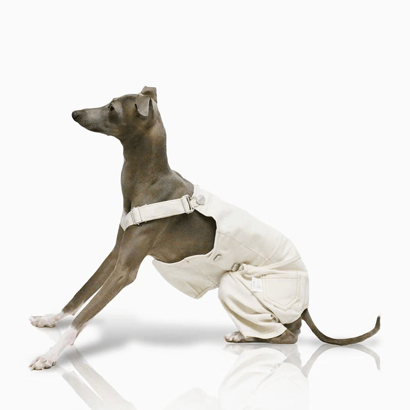 Dog Pants Pinafore Denim Cotton Clothes Easy Wear - PIKAPIKA