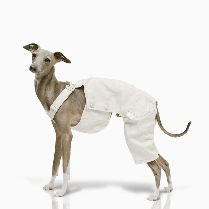 Dog Pants Pinafore Denim Cotton Clothes Easy Wear - PIKAPIKA