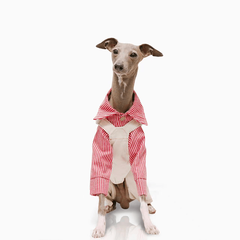 Dog Pants Pinafore Denim Cotton Clothes Easy Wear - PIKAPIKA