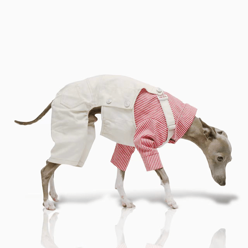 Dog Pants Pinafore Denim Cotton Clothes Easy Wear - PIKAPIKA