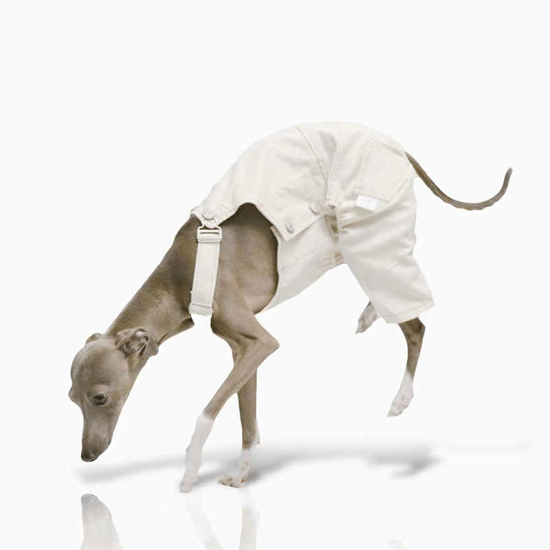Dog Pants Pinafore Denim Cotton Clothes Easy Wear - PIKAPIKA