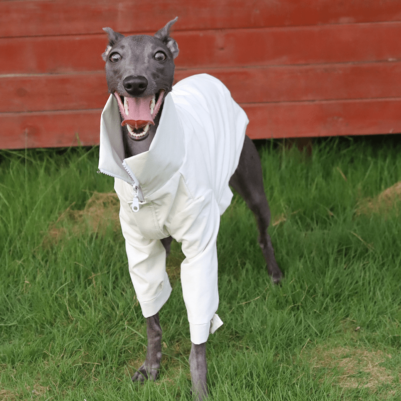 Dog PU Jacket Zip for Italian Greyhound Whippet Clothes - PIKAPIKA