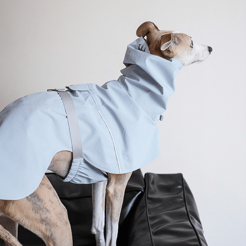 Dog Raincoat Outdoor Jacket Waterproof Detachable Italian greyhound Whippet Dachshund Fit - PIKAPIKA