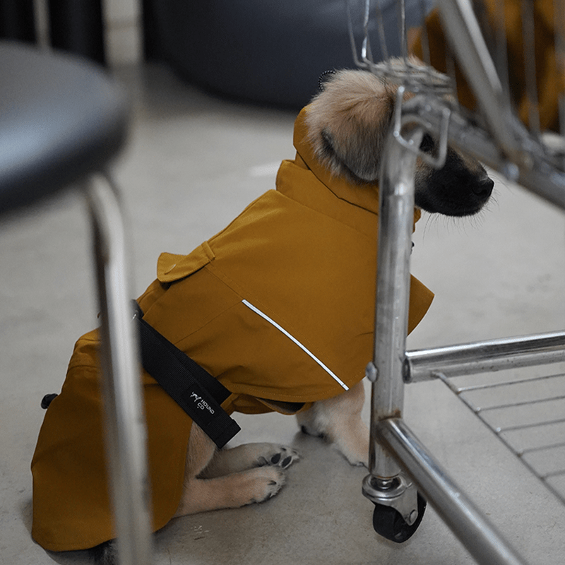 Dog Raincoat Outdoor Jacket Waterproof Detachable Italian greyhound Whippet Dachshund Fit - PIKAPIKA