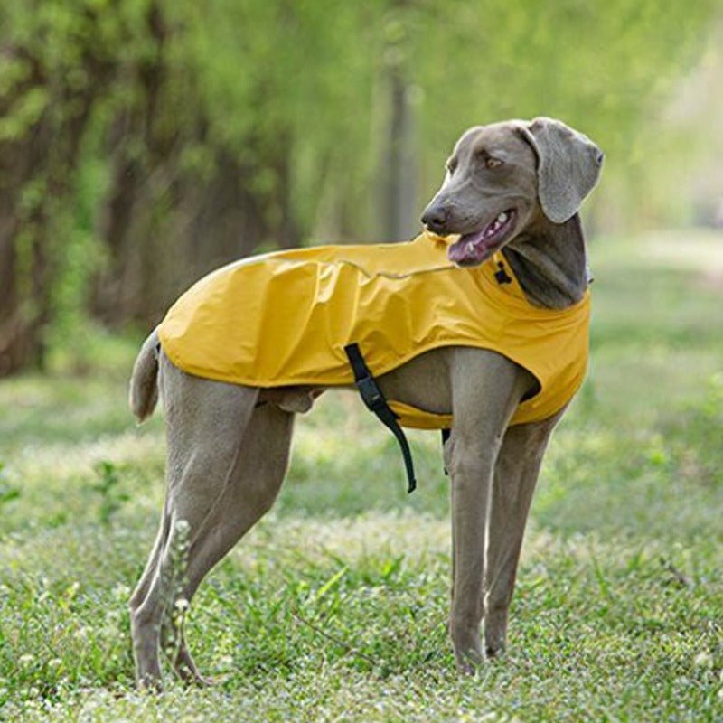 Dog Raincoat Waterproof Jacket - PIKAPIKA
