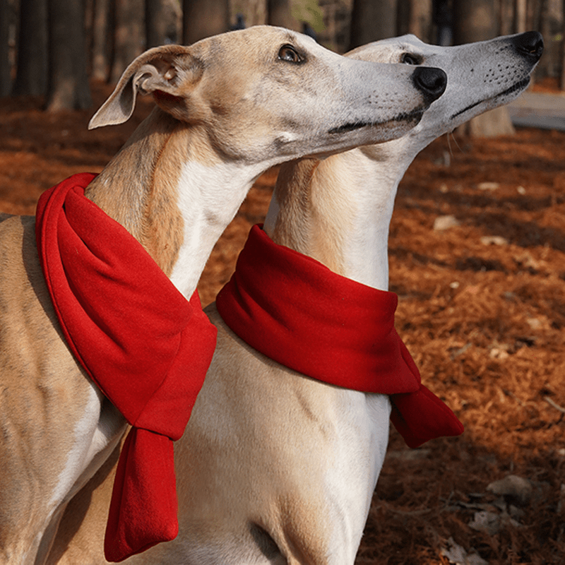 Dog Scarf Neck Scarves Muffler Christmas Pet Accessories - PIKAPIKA