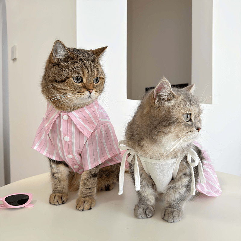 princess polly baby blue dress Cat Dresses