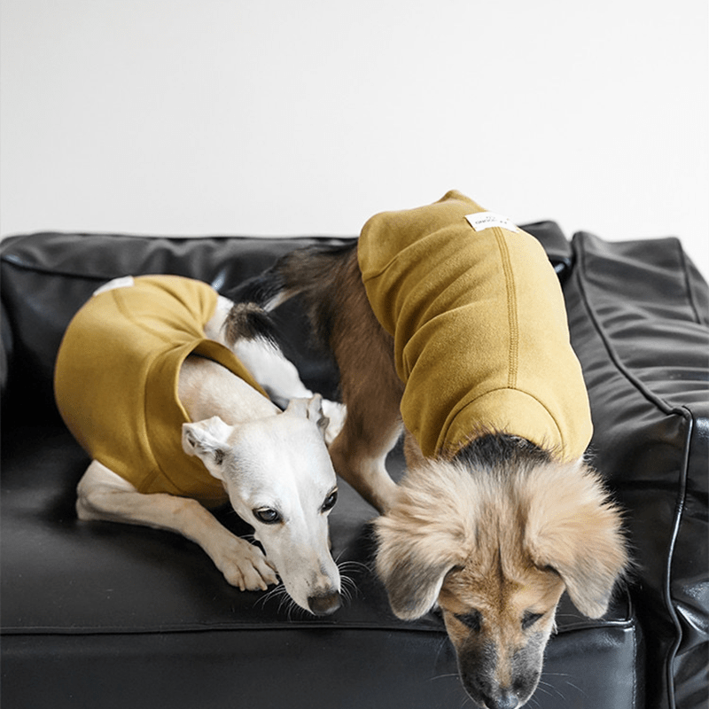 Dog Shirts Casual Tank Top for Italian Greyhound Whippet Clothes - PIKAPIKA
