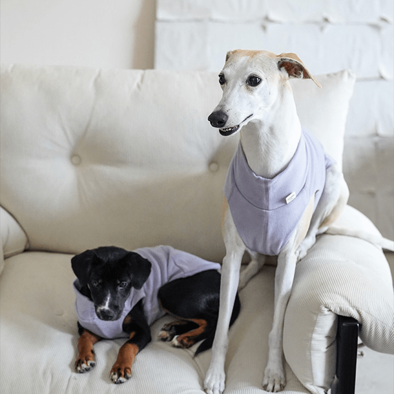 Dog Shirts Casual Tank Top for Italian Greyhound Whippet Clothes - PIKAPIKA