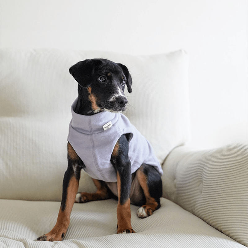 Dog Shirts Casual Tank Top for Italian Greyhound Whippet Clothes - PIKAPIKA
