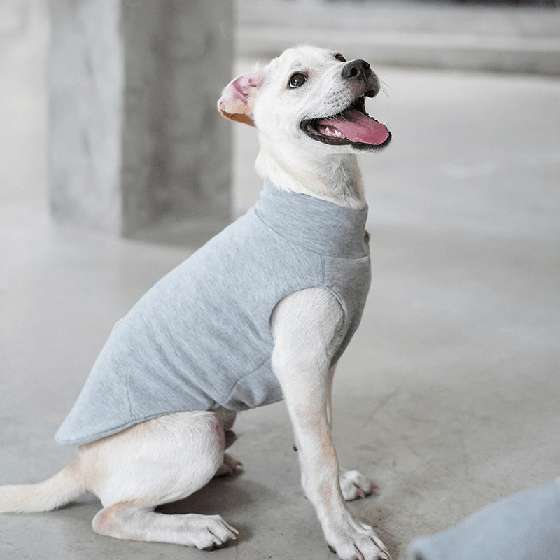 Dog Shirts Casual Tank Top for Italian Greyhound Whippet Clothes - PIKAPIKA