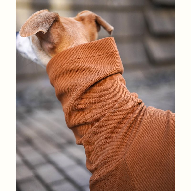 Dog Shirts Cotton Twill for Italian Greyhound Whippet - PIKAPIKA
