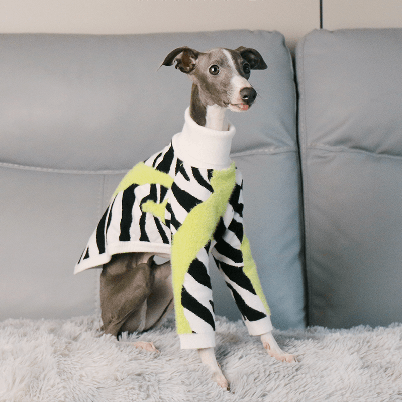 Dog Sweater Italian Greyhound Whippet Knit Wear Soft Warm - PIKAPIKA