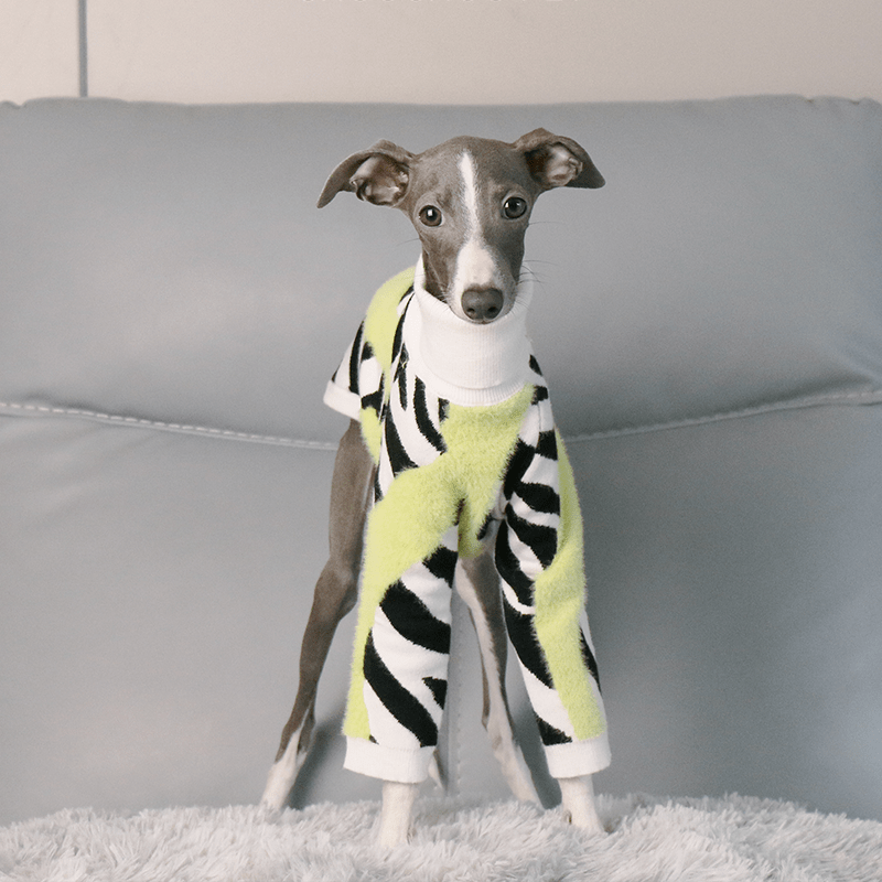 Dog Sweater Italian Greyhound Whippet Knit Wear Soft Warm - PIKAPIKA