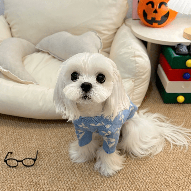 Dog Sweater Knit Wear Cat Sweater Designer Clothes Blue - PIKAPIKA