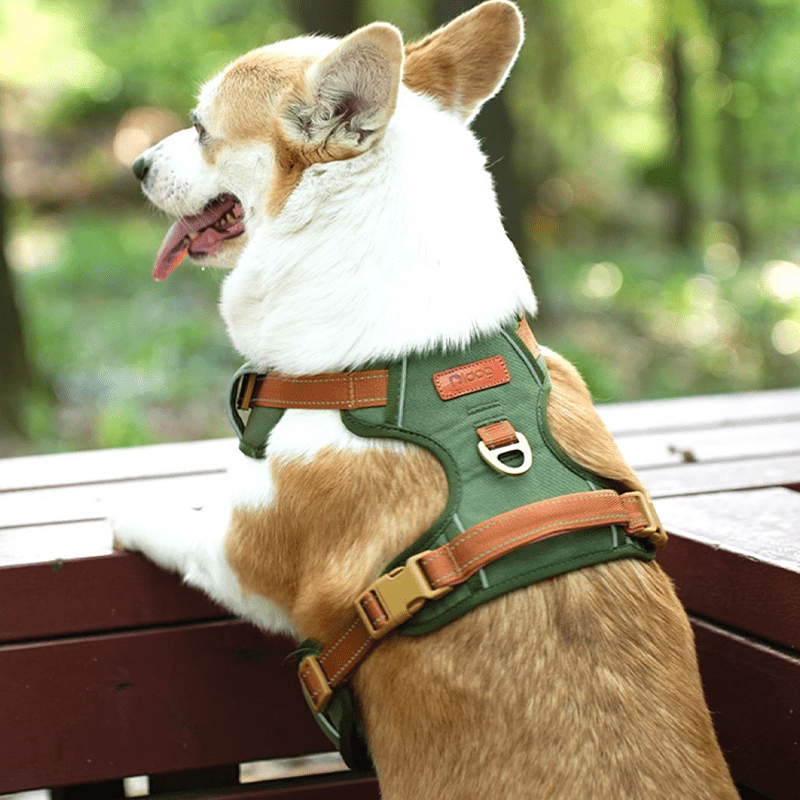 Dog Walking Harness Escape - Proof Handle Outdoor Gear - PIKAPIKA