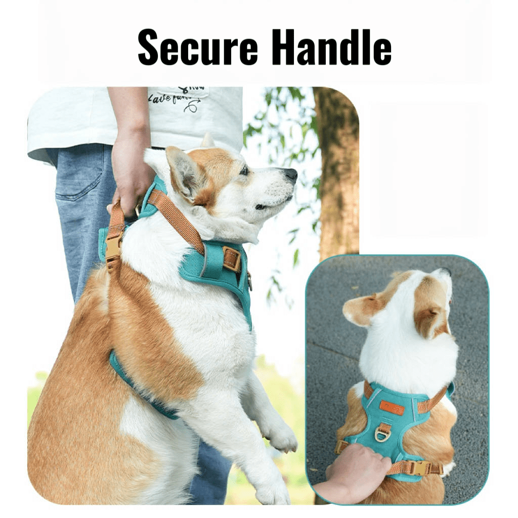 Dog Walking Harness Escape - Proof Handle Outdoor Gear - PIKAPIKA