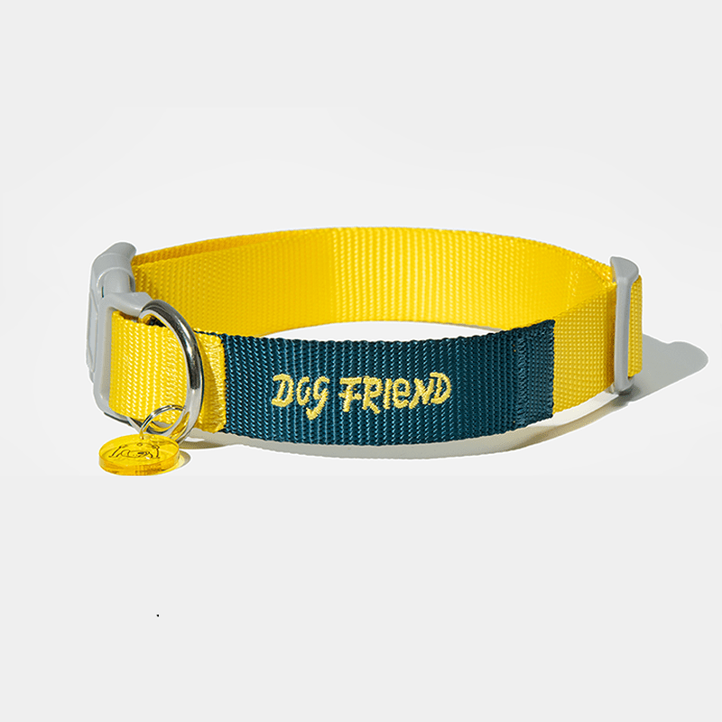 Dog Walking Kit Reflective Adjustable Collar with Leash - PIKAPIKA