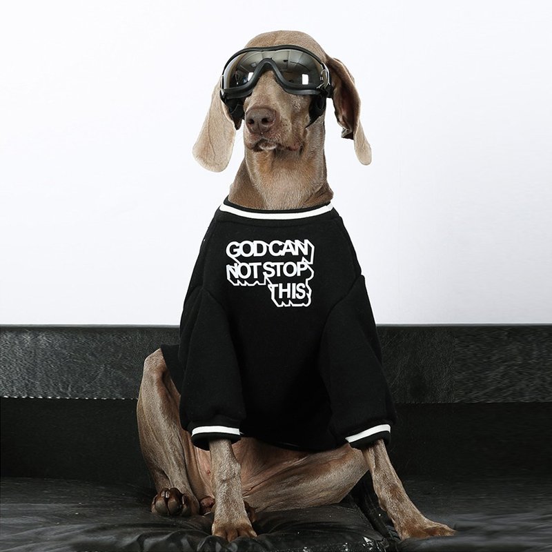 Dog Windproof Goggles - PIKAPIKA