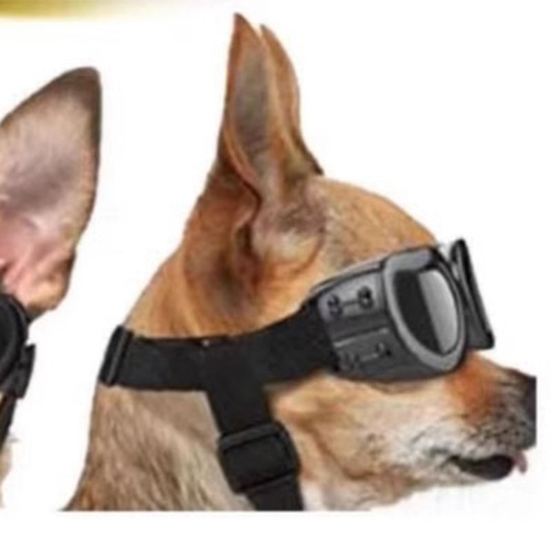Dog Windproof Goggles - PIKAPIKA