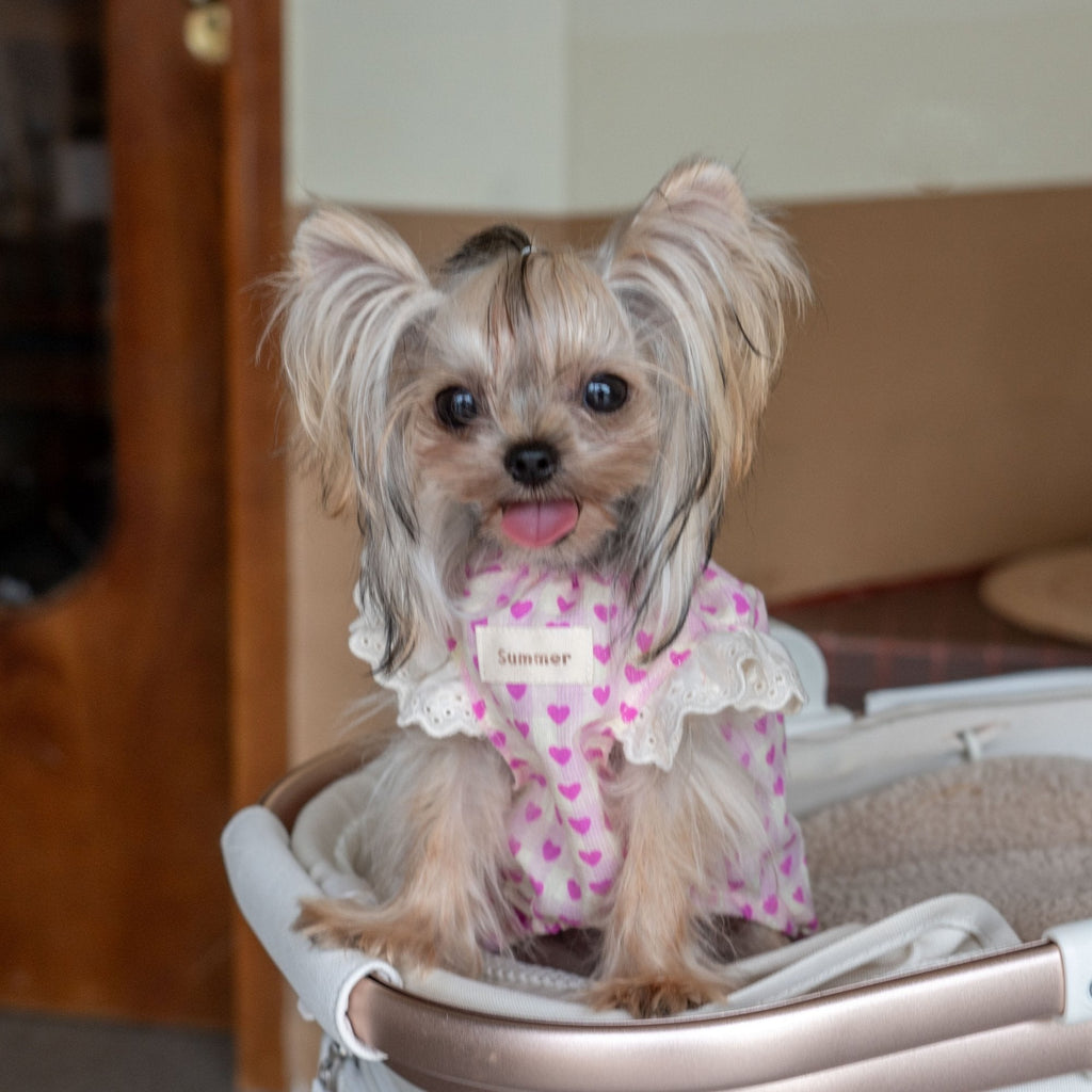 Doll Style Lightweight Vest with Heart Print for Toy Dogs - PIKAPIKA