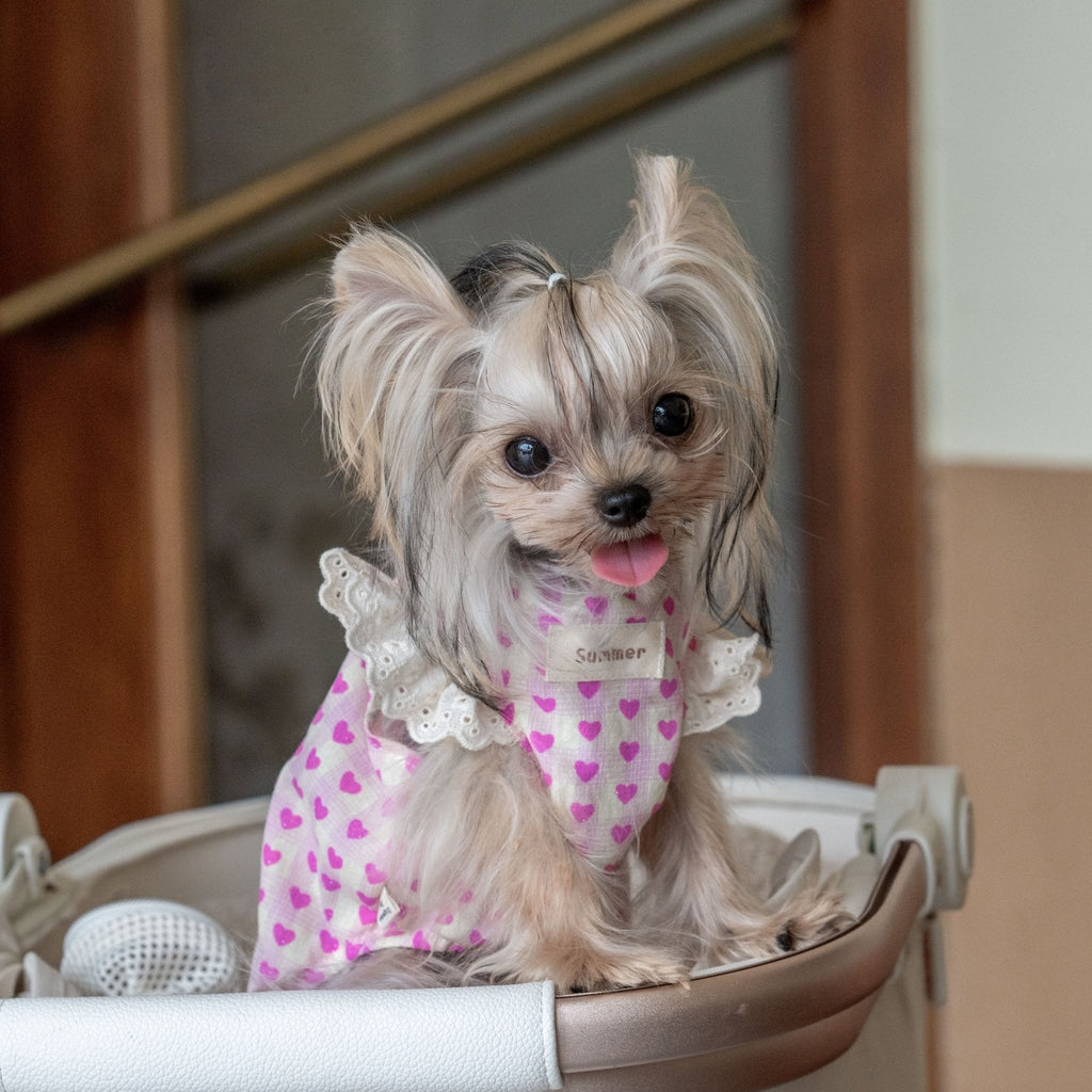 Doll Style Lightweight Vest with Heart Print for Toy Dogs - PIKAPIKA