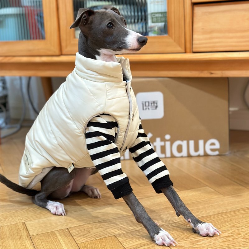 Down Padded Jacket Vest Italian Greyhound Whippet Dog Clothes - PIKAPIKA