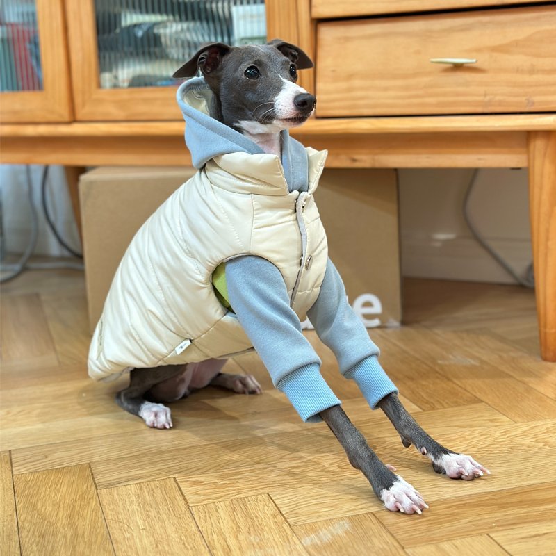 Down Padded Jacket Vest Italian Greyhound Whippet Dog Clothes - PIKAPIKA