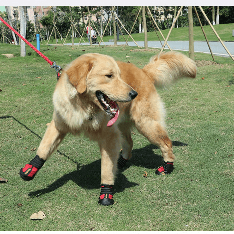 Durable Anti - Slip Dog Boots Waterproof Snow Boots - PIKAPIKA