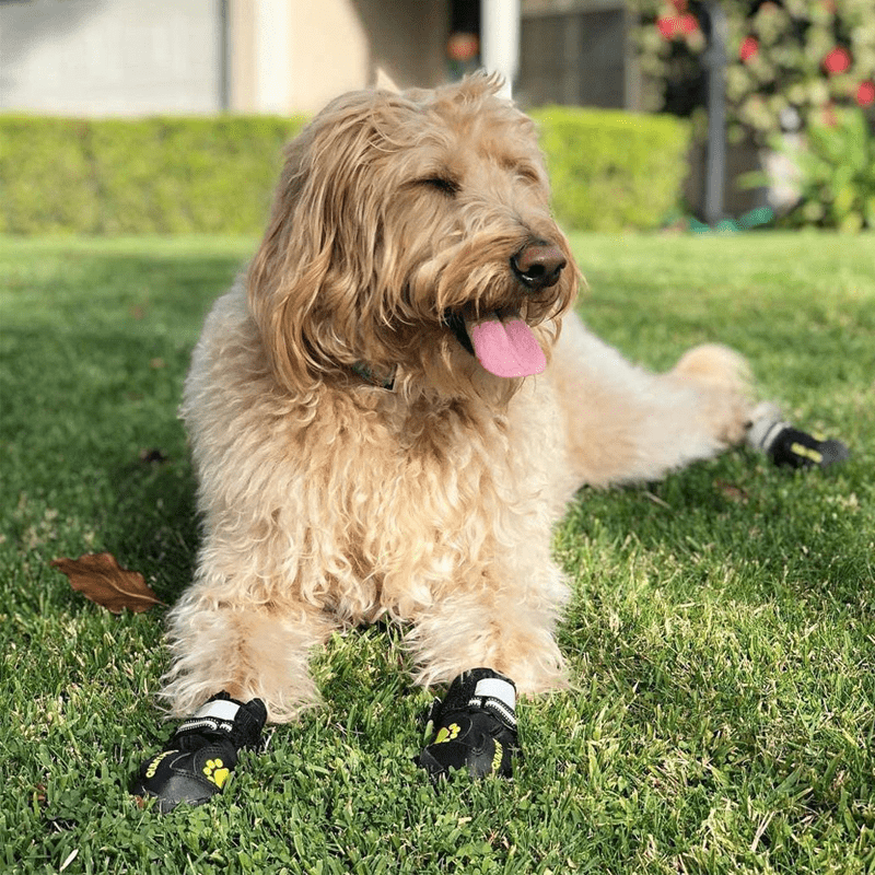 Durable Anti - Slip Dog Boots Waterproof Snow Boots - PIKAPIKA