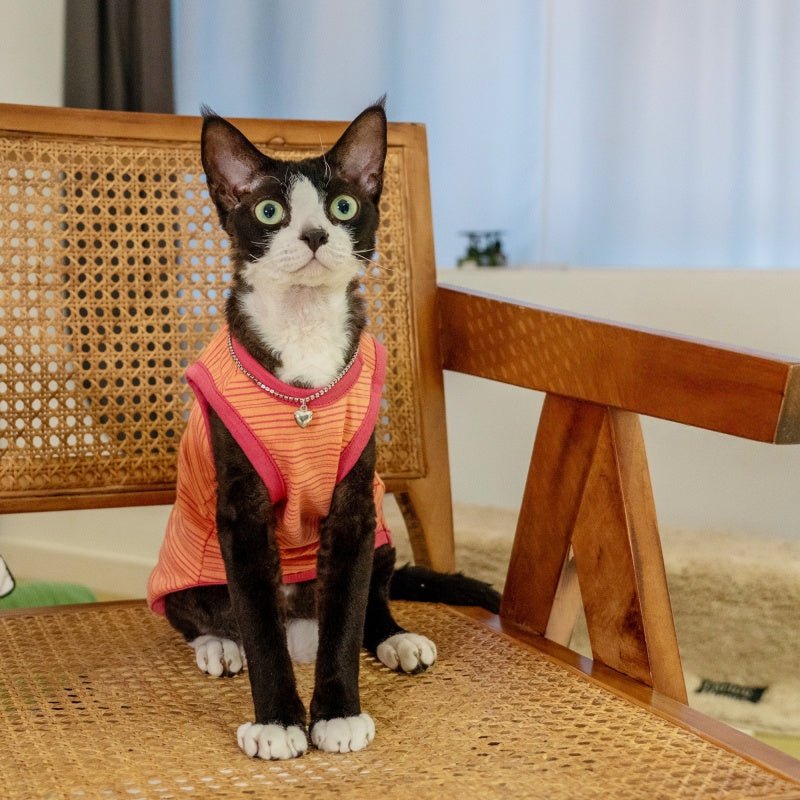 Elastic Cotton Striped Tank Air - Conditioned Vest Sphynx Cat Clothes - PIKAPIKA