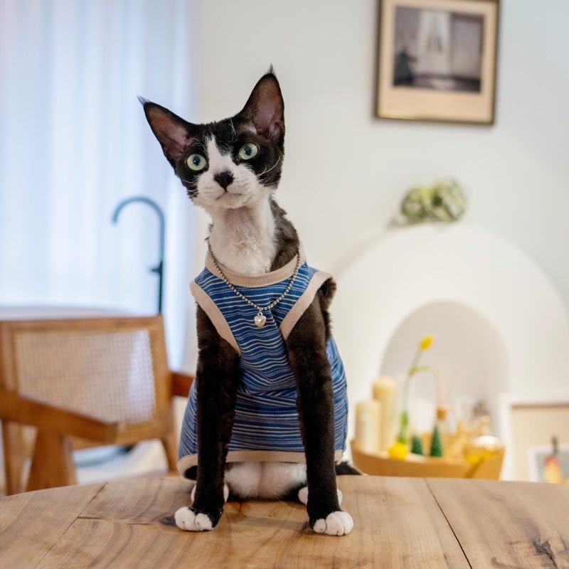 Elastic Cotton Striped Tank Air - Conditioned Vest Sphynx Cat Clothes - PIKAPIKA