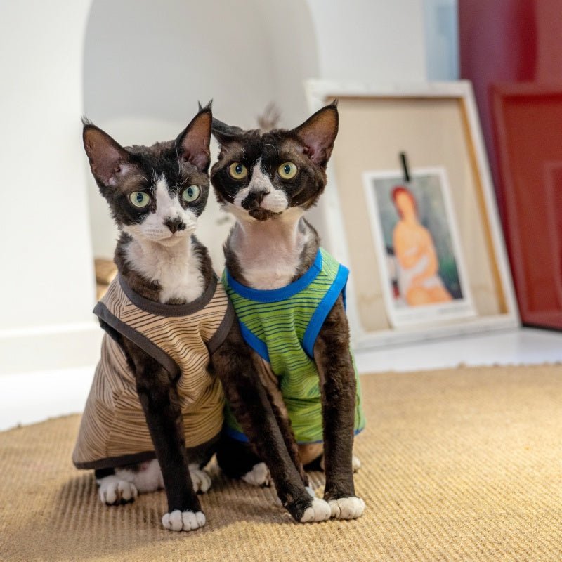 Elastic Cotton Striped Tank Air - Conditioned Vest Sphynx Cat Clothes - PIKAPIKA