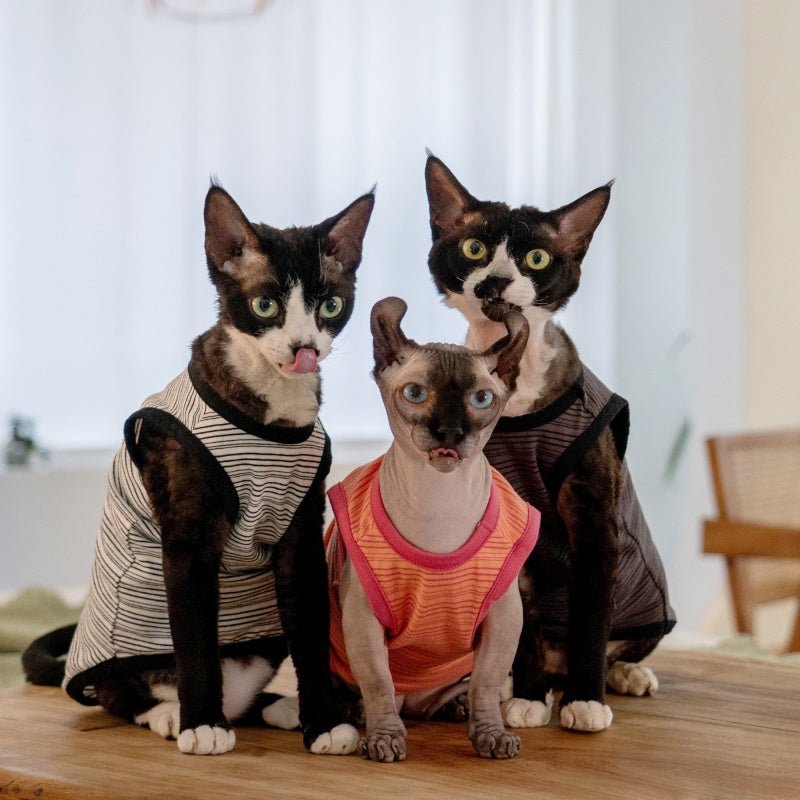 Elastic Cotton Striped Tank Air - Conditioned Vest Sphynx Cat Clothes - PIKAPIKA