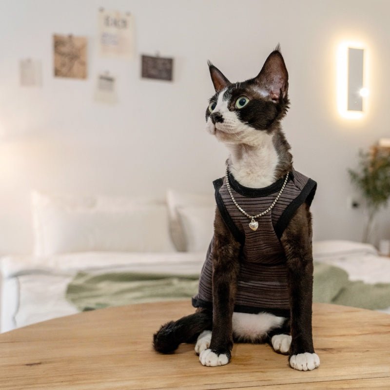 Elastic Cotton Striped Tank Air - Conditioned Vest Sphynx Cat Clothes - PIKAPIKA