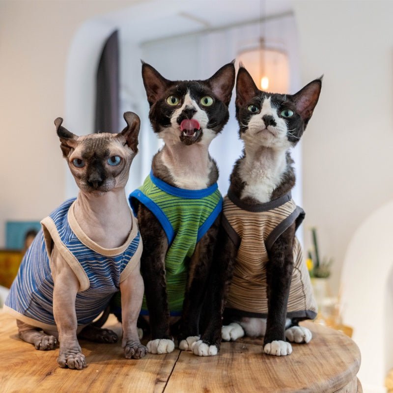 Elastic Cotton Striped Tank Air - Conditioned Vest Sphynx Cat Clothes - PIKAPIKA