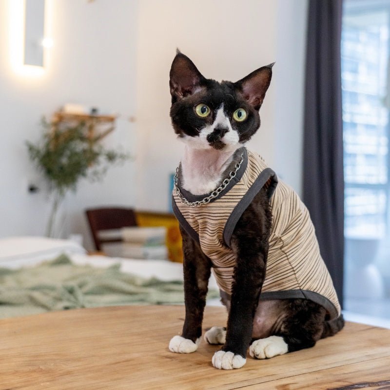 Elastic Cotton Striped Tank Air - Conditioned Vest Sphynx Cat Clothes - PIKAPIKA