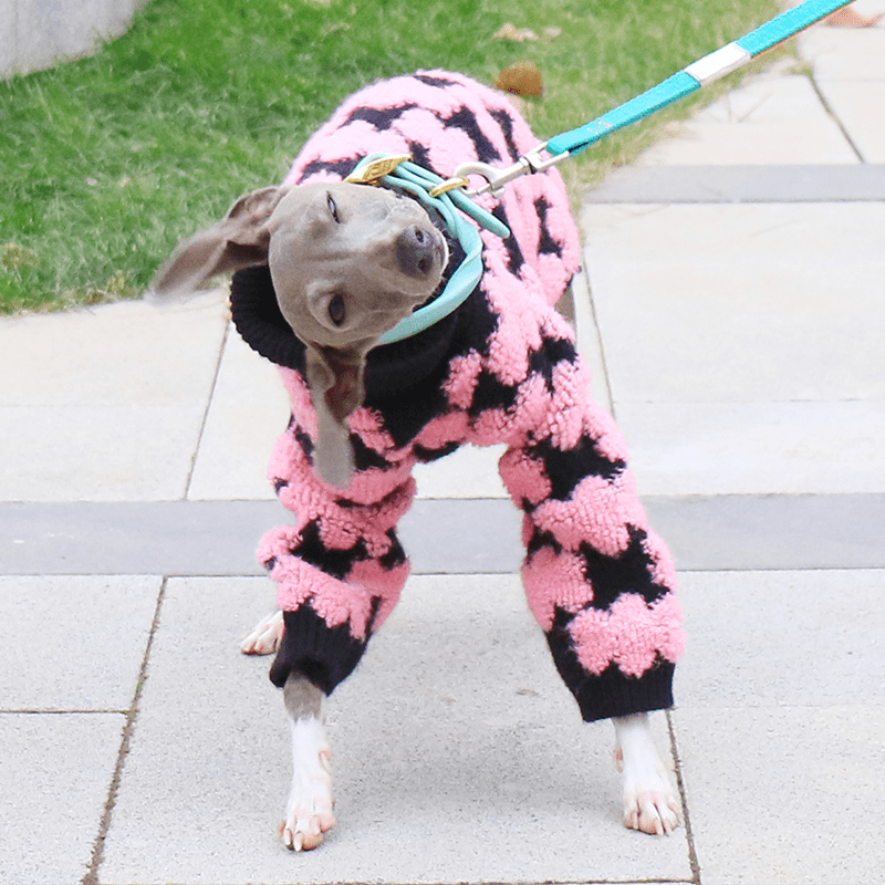 Embroidered High Neck Thick Dog Sweater for Italian Greyhound Whippet - PIKAPIKA