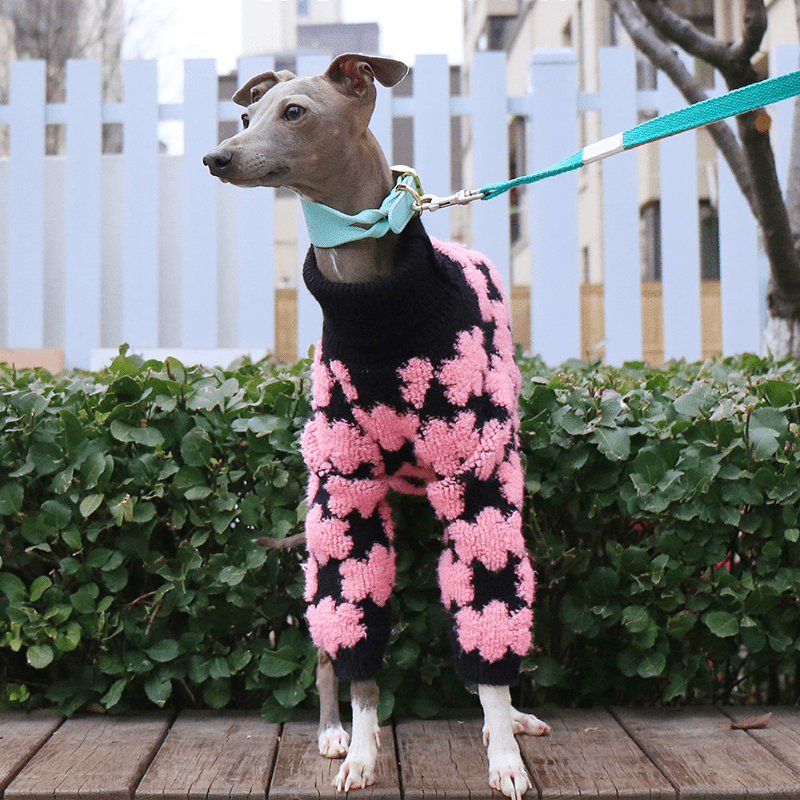 Embroidered High Neck Thick Dog Sweater for Italian Greyhound Whippet - PIKAPIKA