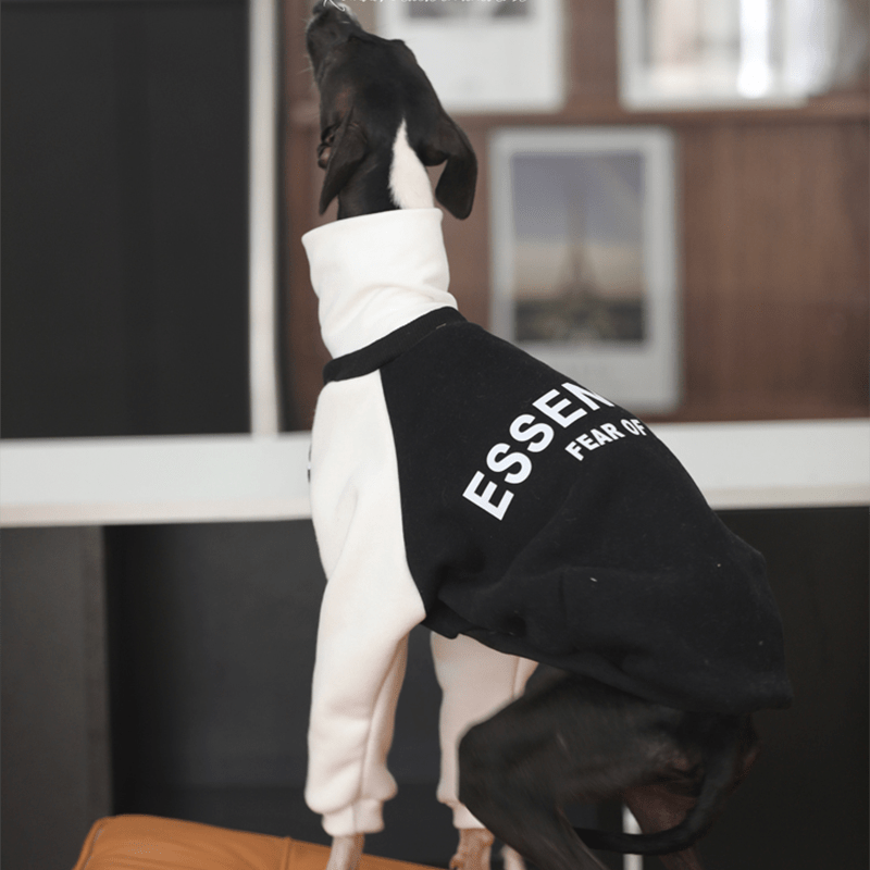 Essantial Athletic Sweatshirt Hoodie Italian Greyhound Whippet Dog Clothes - PIKAPIKA