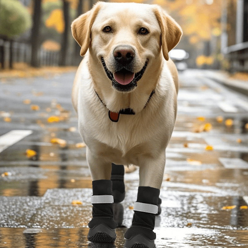 Essential Dog Boots High - Top Shoes Waterproof Fleece Warm Reflective - PIKAPIKA