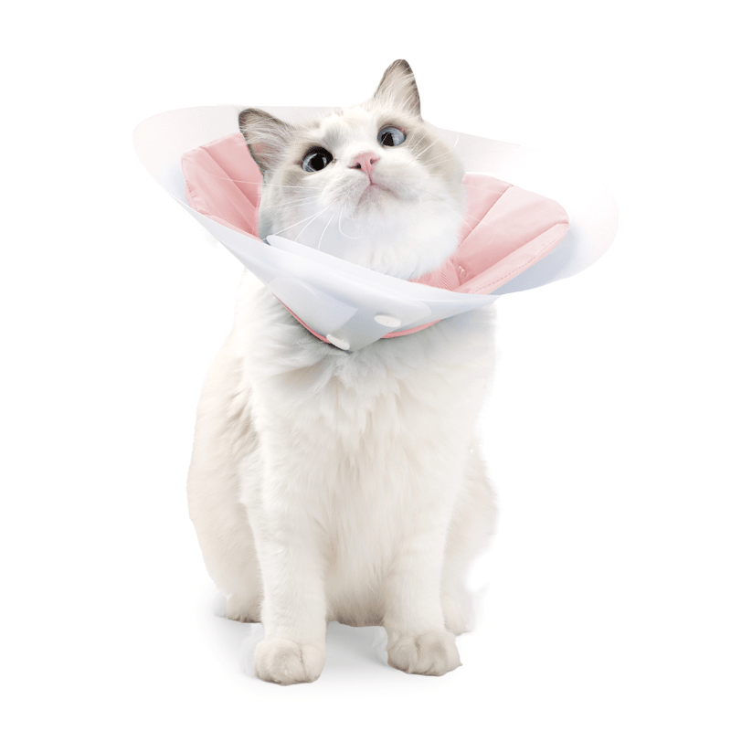 Extended Double - Layer Elizabeth Collar Cat Recovery Cone - PIKAPIKA