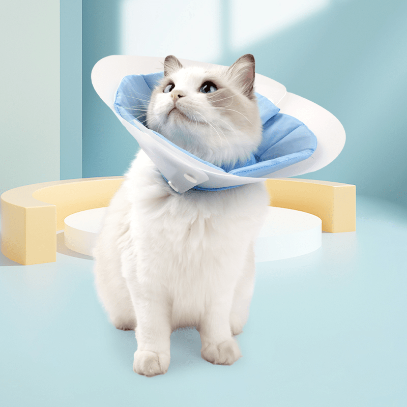 Extended Double - Layer Elizabeth Collar Cat Recovery Cone - PIKAPIKA
